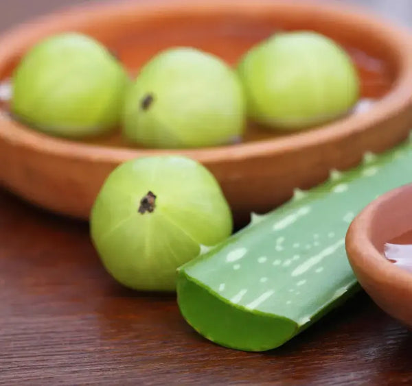 Aloe Vera and Amla Juice Benefits